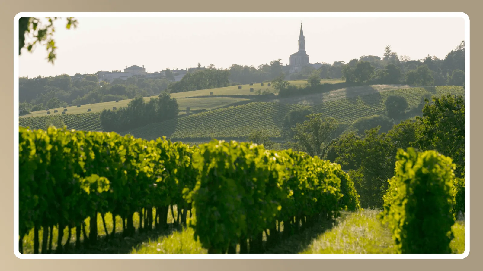 I_vigneti_di_Bordeaux